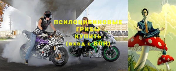 эйфоретик Аркадак