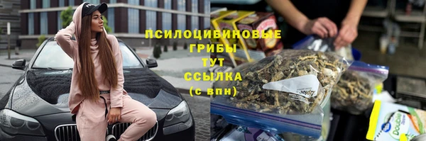 эйфоретик Аркадак