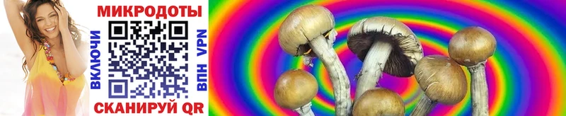 Псилоцибиновые грибы GOLDEN TEACHER  Купить закладки  Кяхта 